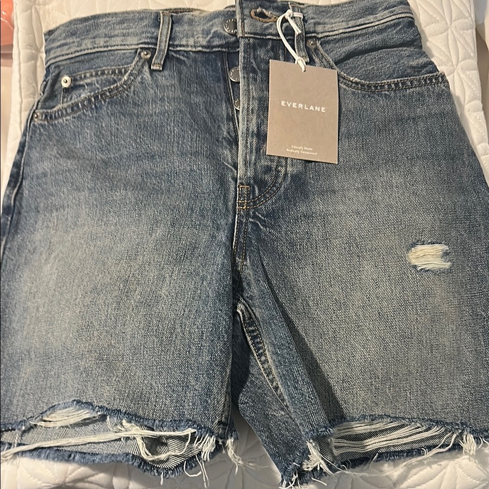 Everlane Blue Distressed Denim Shorts